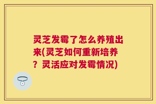 灵芝发霉了怎么养殖出来(灵芝如何重新培养？灵活应对发霉情况)