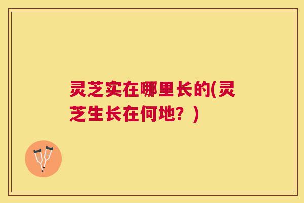 灵芝实在哪里长的(灵芝生长在何地？)
