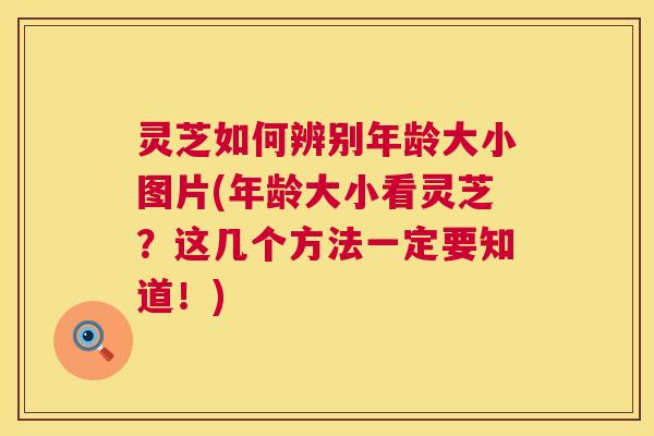 灵芝如何辨别年龄大小图片(年龄大小看灵芝?这几个方法一定要知道!) 灵芝如何辨别年龄大小图片(年龄大小看灵芝?这几个方法一定要知道!)