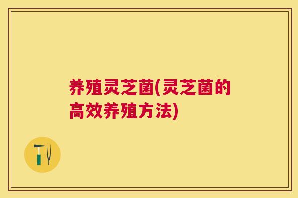 养殖灵芝菌(灵芝菌的高效养殖方法)