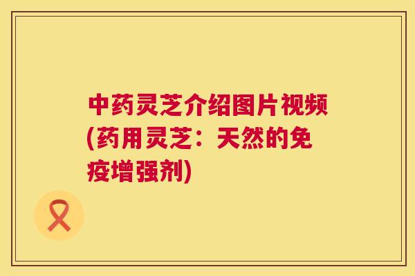灵芝介绍图片视频(药用灵芝：天然的免疫增强剂)