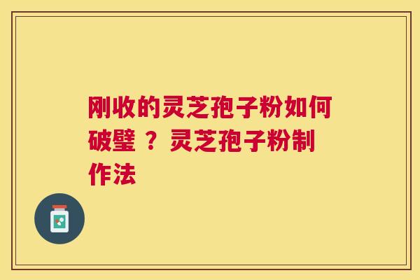刚收的灵芝孢子粉如何破璧 ？灵芝孢子粉制作法