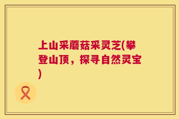 上山采蘑菇采灵芝(攀登山顶,探寻自然灵宝) 上山采蘑菇采灵芝(攀登山顶,探寻自然灵宝)