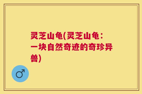 灵芝山龟(灵芝山龟：一块自然奇迹的奇珍异兽)