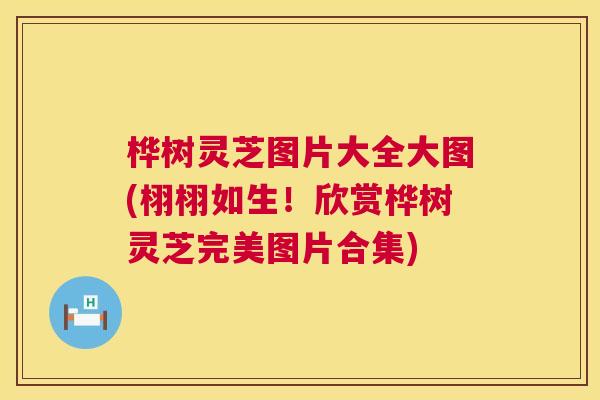 桦树灵芝图片大全大图(栩栩如生!欣赏桦树灵芝完美图片合集) 桦树灵芝图片大全大图(栩栩如生!欣赏桦树灵芝完美图片合集)