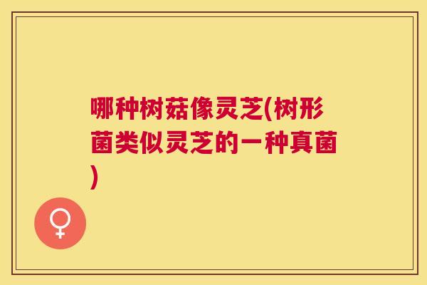 哪种树菇像灵芝(树形菌类似灵芝的一种真菌) 哪种树菇像灵芝(树形菌类似灵芝的一种真菌)