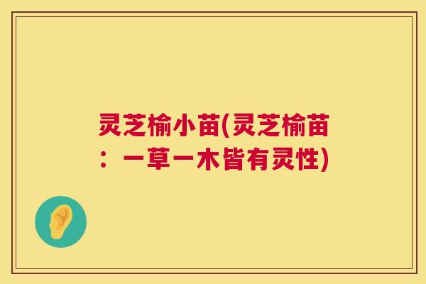 灵芝榆小苗(灵芝榆苗:一草一木皆有灵性) 灵芝榆小苗(灵芝榆苗:一草一木皆有灵性)