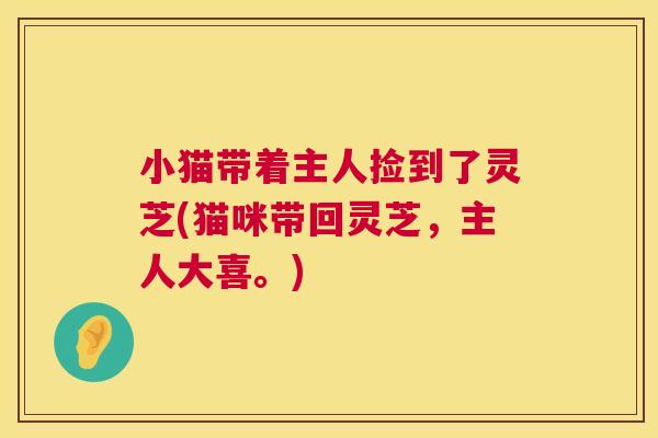 小猫带着主人捡到了灵芝(猫咪带回灵芝，主人大喜。)