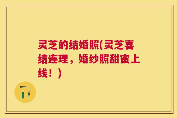 灵芝的结婚照(灵芝喜结连理，婚纱照甜蜜上线！)