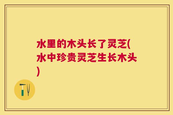 水里的木头长了灵芝(水中珍贵灵芝生长木头) 水里的木头长了灵芝(水中珍贵灵芝生长木头)