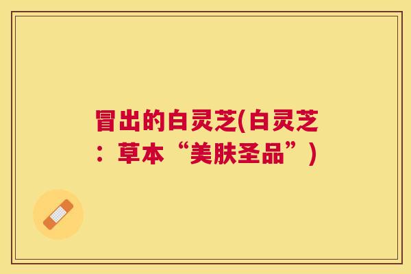 冒出的白灵芝(白灵芝:草本“美肤圣品”) 冒出的白灵芝(白灵芝:草本“美肤圣品”)