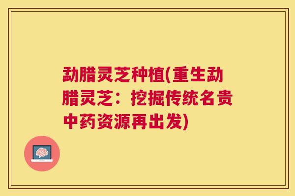 勐腊灵芝种植(重生勐腊灵芝:挖掘传统名贵资源再出发) 勐腊灵芝种植(重生勐腊灵芝:挖掘传统名贵资源再出发)
