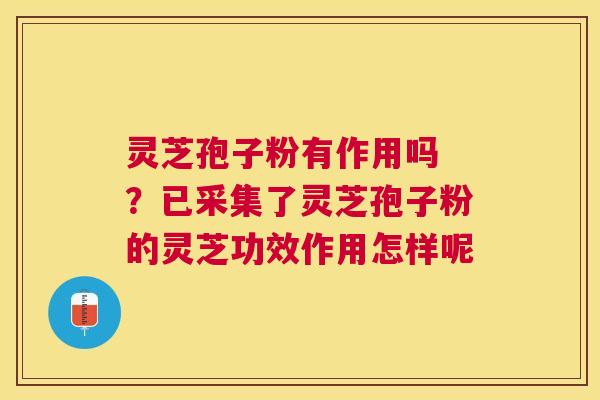 灵芝孢子粉有作用吗 ？已采集了灵芝孢子粉的灵芝功效作用怎样呢