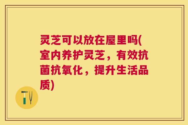 灵芝可以放在屋里吗(室内养护灵芝，有效，提升生活品质)