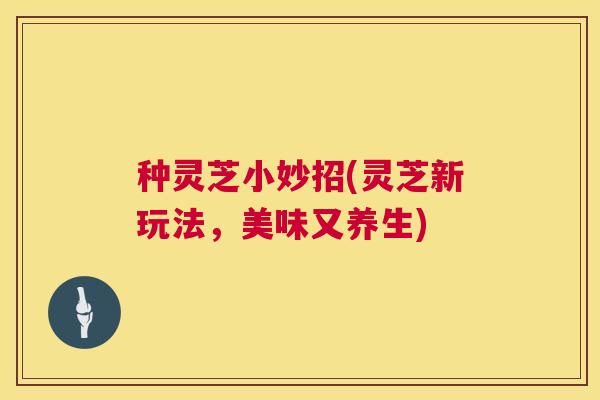 种灵芝小妙招(灵芝新玩法，美味又养生)