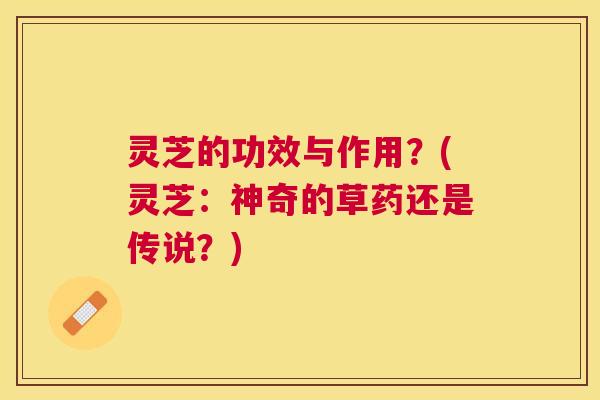 灵芝的功效与作用？(灵芝：神奇的草药还是传说？)