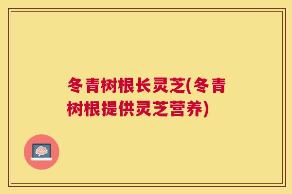 冬青树根长灵芝(冬青树根提供灵芝营养) 冬青树根长灵芝(冬青树根提供灵芝营养)