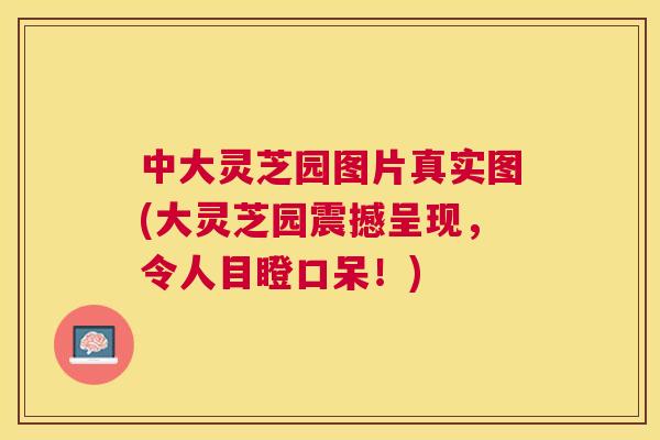 中大灵芝园图片真实图(大灵芝园震撼呈现,令人目瞪口呆!) 中大灵芝园图片真实图(大灵芝园震撼呈现,令人目瞪口呆!)