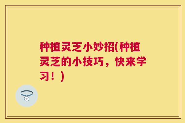 种植灵芝小妙招(种植灵芝的小技巧，快来学习！)