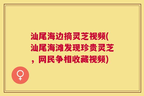 汕尾海边摘灵芝视频(汕尾海滩发现珍贵灵芝,网民争相收藏视频) 汕尾海边摘灵芝视频(汕尾海滩发现珍贵灵芝,网民争相收藏视频)