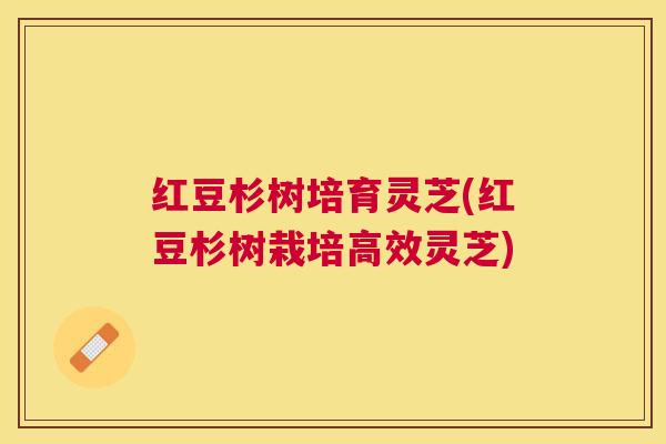 红豆杉树培育灵芝(红豆杉树栽培高效灵芝)
