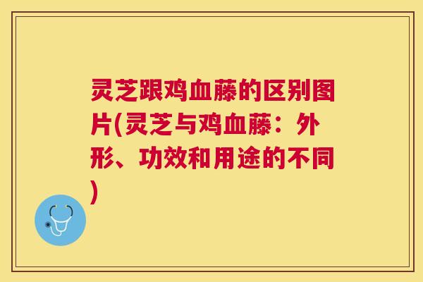 灵芝跟鸡藤的区别图片(灵芝与鸡藤:外形、功效和用途的不同) 灵芝跟鸡藤的区别图片(灵芝与鸡藤:外形、功效和用途的不同)