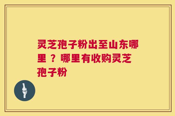 灵芝孢子粉出至山东哪里 ？哪里有收购灵芝孢子粉