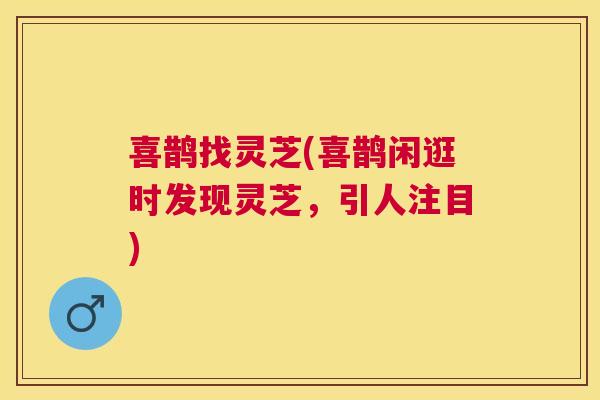 喜鹊找灵芝(喜鹊闲逛时发现灵芝,引人注目) 喜鹊找灵芝(喜鹊闲逛时发现灵芝,引人注目)