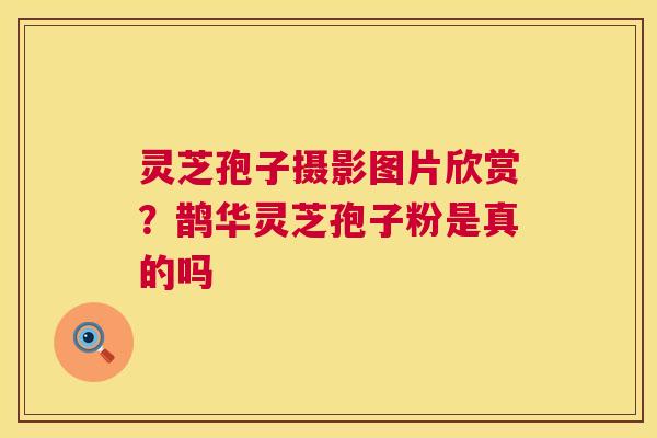 灵芝孢子摄影图片欣赏?鹊华灵芝孢子粉是真的吗 灵芝孢子摄影图片欣赏?鹊华灵芝孢子粉是真的吗