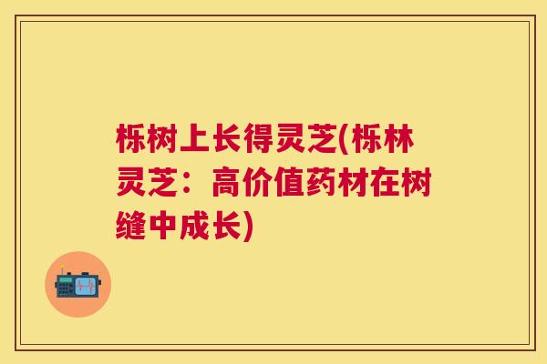 栎树上长得灵芝(栎林灵芝：高价值药材在树缝中成长)