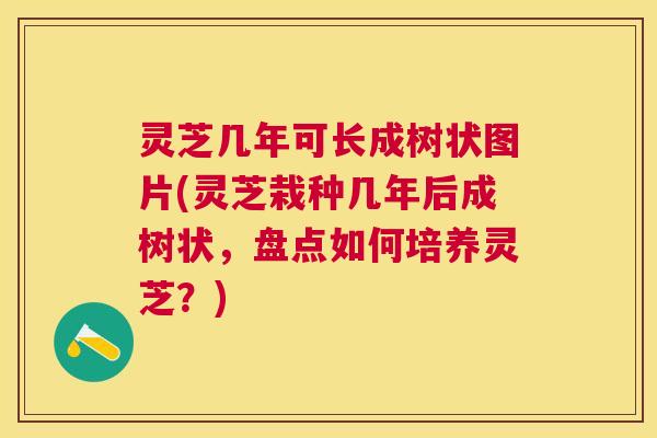灵芝几年可长成树状图片(灵芝栽种几年后成树状,盘点如何培养灵芝?) 灵芝几年可长成树状图片(灵芝栽种几年后成树状,盘点如何培养灵芝?)