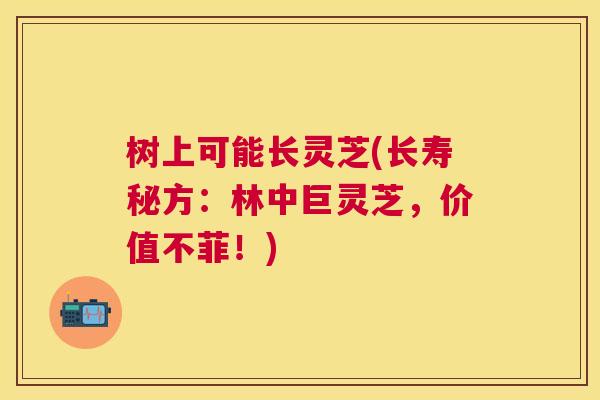 树上可能长灵芝(长寿秘方:林中巨灵芝,价值不菲!) 树上可能长灵芝(长寿秘方:林中巨灵芝,价值不菲!)