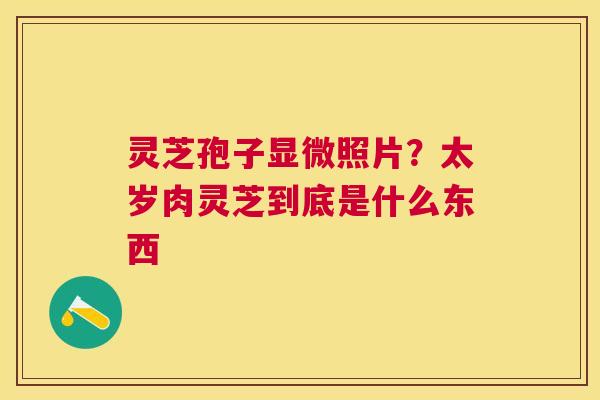 灵芝孢子显微照片?太岁肉灵芝到底是什么东西 灵芝孢子显微照片?太岁肉灵芝到底是什么东西