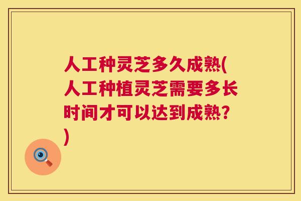 人工种灵芝多久成熟(人工种植灵芝需要多长时间才可以达到成熟?) 人工种灵芝多久成熟(人工种植灵芝需要多长时间才可以达到成熟?)