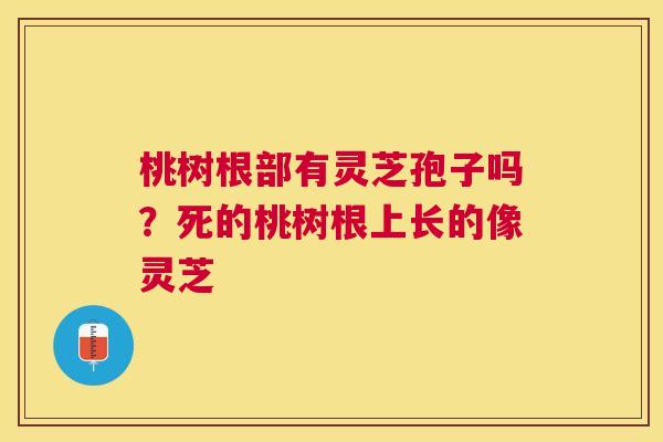 桃树根部有灵芝孢子吗？死的桃树根上长的像灵芝
