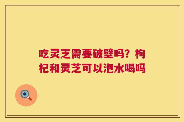 吃灵芝需要破壁吗？枸杞和灵芝可以泡水喝吗