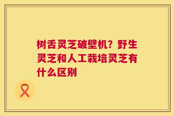 树舌灵芝破壁机?野生灵芝和人工栽培灵芝有什么区别 树舌灵芝破壁机?野生灵芝和人工栽培灵芝有什么区别