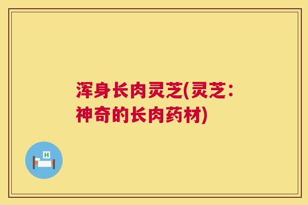 浑身长肉灵芝(灵芝:神奇的长肉药材) 浑身长肉灵芝(灵芝:神奇的长肉药材)