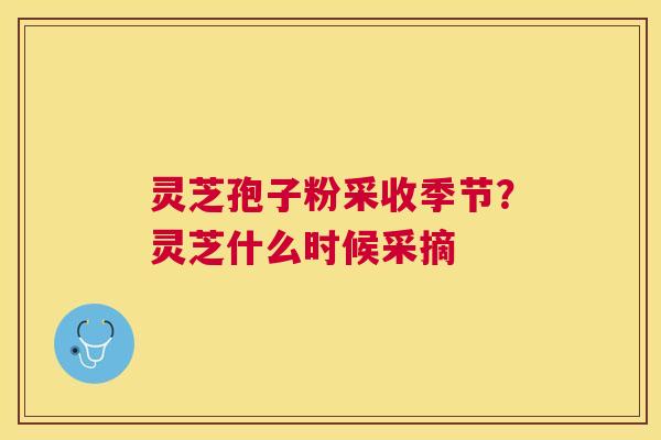 灵芝孢子粉采收季节？灵芝什么时候采摘