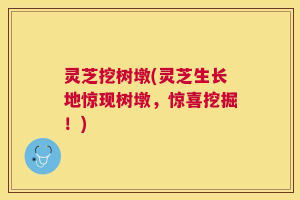 灵芝挖树墩(灵芝生长地惊现树墩,惊喜挖掘!) 灵芝挖树墩(灵芝生长地惊现树墩,惊喜挖掘!)