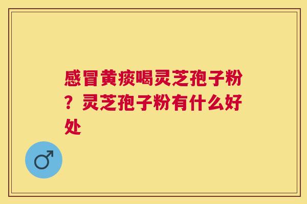 黄痰喝灵芝孢子粉?灵芝孢子粉有什么好处 黄痰喝灵芝孢子粉?灵芝孢子粉有什么好处