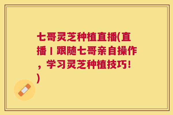 七哥灵芝种植直播(直播丨跟随七哥亲自操作,学习灵芝种植技巧!) 七哥灵芝种植直播(直播丨跟随七哥亲自操作,学习灵芝种植技巧!)