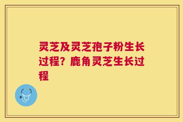 灵芝及灵芝孢子粉生长过程？鹿角灵芝生长过程