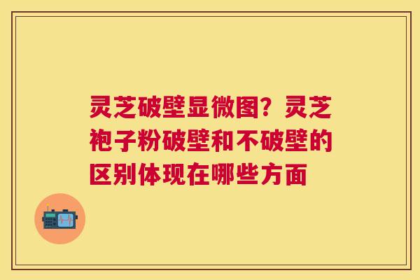 灵芝破壁显微图？灵芝袍子粉破壁和不破壁的区别体现在哪些方面