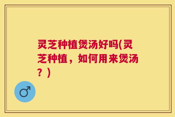 灵芝种植煲汤好吗(灵芝种植，如何用来煲汤？)