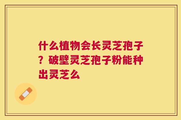 什么植物会长灵芝孢子?破壁灵芝孢子粉能种出灵芝么 什么植物会长灵芝孢子?破壁灵芝孢子粉能种出灵芝么