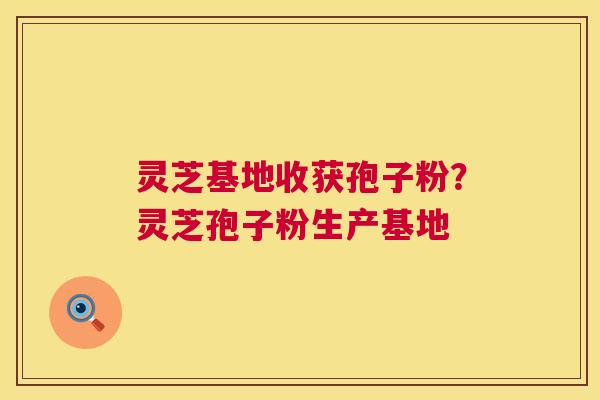 灵芝基地收获孢子粉?灵芝孢子粉生产基地 灵芝基地收获孢子粉?灵芝孢子粉生产基地