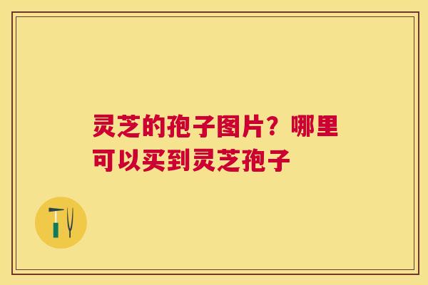 灵芝的孢子图片?哪里可以买到灵芝孢子 灵芝的孢子图片?哪里可以买到灵芝孢子