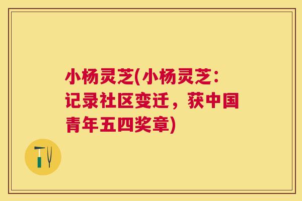 小杨灵芝(小杨灵芝:记录社区变迁,获中国青年五四奖章) 小杨灵芝(小杨灵芝:记录社区变迁,获中国青年五四奖章)