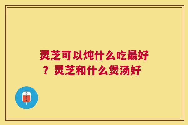 灵芝可以炖什么吃好 ?灵芝和什么煲汤好 灵芝可以炖什么吃好 ?灵芝和什么煲汤好